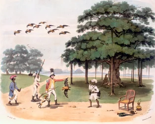 Flughunde am Banyanbaum, ca. 1791-98